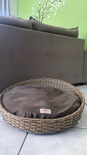Cama pet