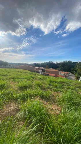 TERRENO A VENDA COM PEQUENO DECLIVE COM 553,90M² COM 12 FRENTE PARA AVENIDA BAIRRO COLONIA
