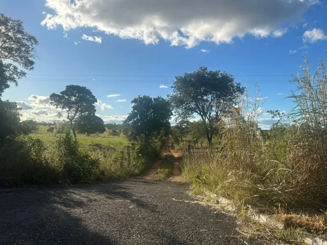 Fazenda 258 hectares 