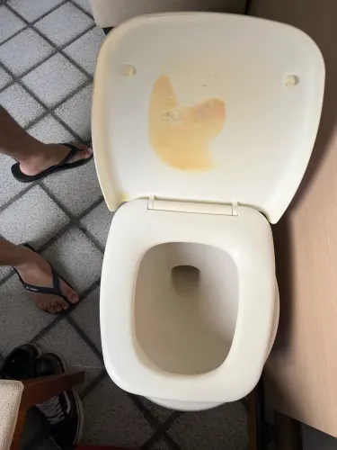 Doação - Vaso Sanitário 