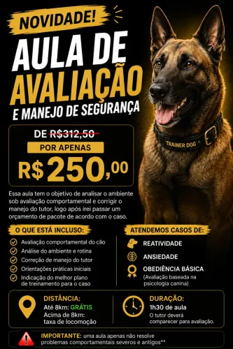 Adestramento Comportamental para cães | Aula avulsa 
