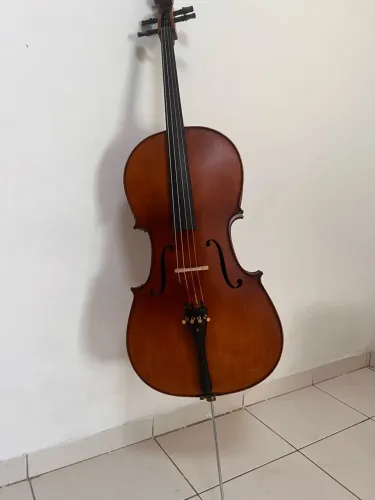 Violoncelo CE300