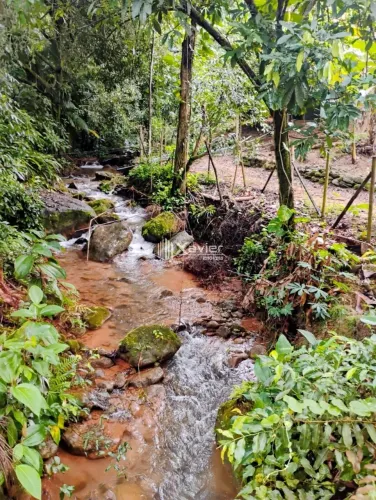 Chácara 1.000m² à Venda em Alfredo Chaves/ES com Casa, Rio, Nascente, Poço Artesiano e Pom