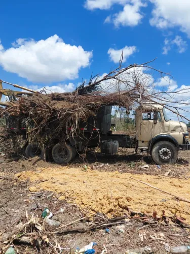 Caçamba disponível pra aluguel 