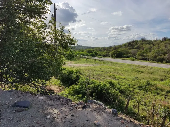 Vendo / permuto fazenda de 100 hectares ,beira de pista- Campina Grande / São José da Mata