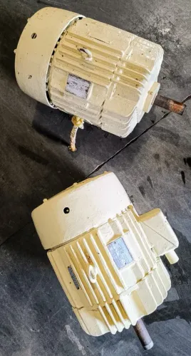 Motor Elétrico Trifásico de Indução. 2 unidades