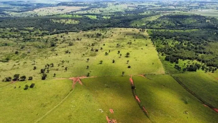 Fazenda para Venda em Dom Aquino, Dom Aquino, 4 dormitórios, 4 banheiros