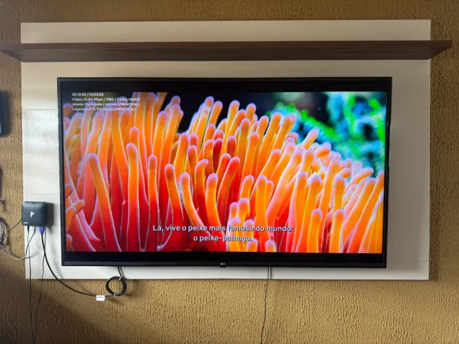 TV LG 60 Polegadas + Painel