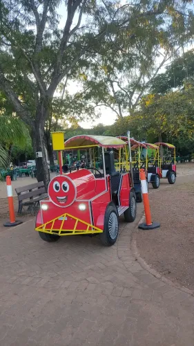 Trenzinho da alegria 