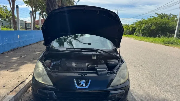 Peugeot 307 Feline 2.0/2.0 Flex 16V 5P Mec. 2008