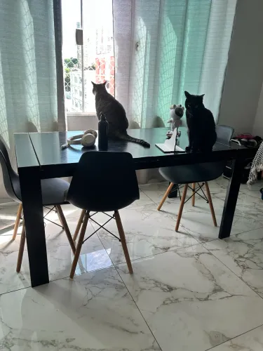 Doação MESA preta 6 lugares (exclui o anuncio antigo sem querer)