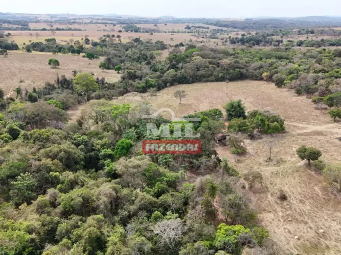 Chácara 6 alqueires (29,04 hectares) Cezarina - Go