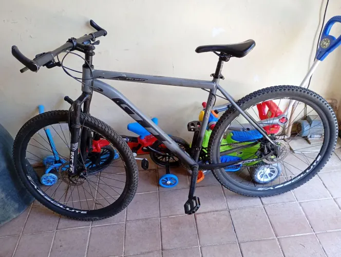 Bicicleta 29