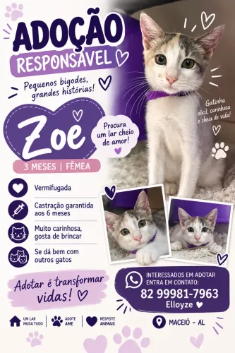 Adoção Responsável