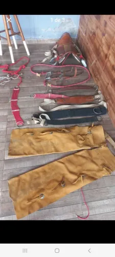 Vendo cela completa 
