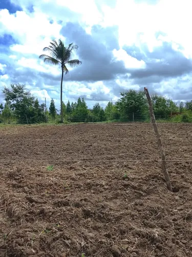 TERRENO SAPÊ