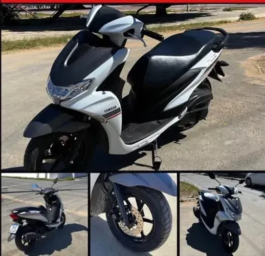 Yamaha fluo 2023