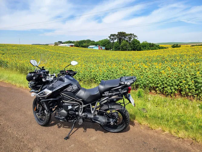 Tiger 1200