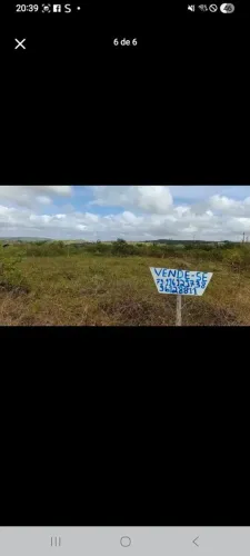 Vendo terreno na saída de Simão dias no fundo do armazém rocha