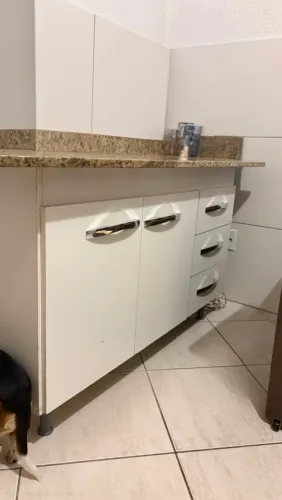 BALCÃO PIA