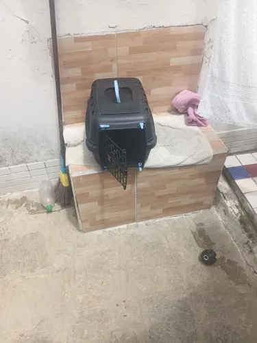 CAIXA DE TRANSPORTE PARA CÃES E GATOS
