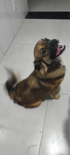 Doação