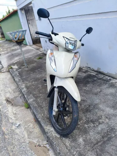 Motinha filé.