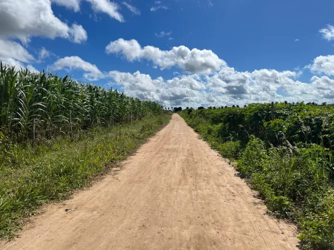 Oportunidade! Area pra chácara em Lagarto/Se