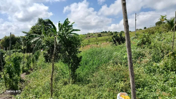 Vendo lote para Chácara R$65.000