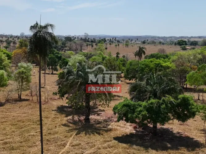 Chácara 1 Alqueire (4,84 Hectares) Aloândia - GO