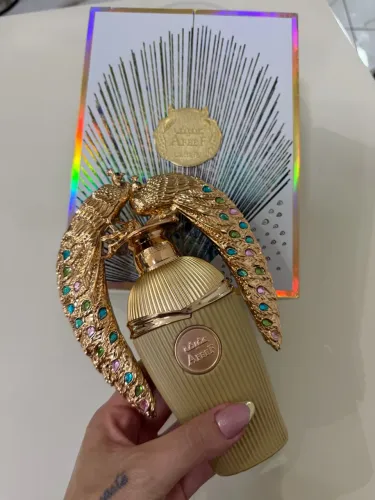Perfumes / perfumaria outlet