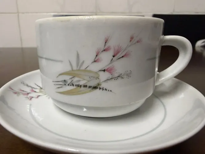 Antiga Xícaras de Chá em porcelana Pozzani
