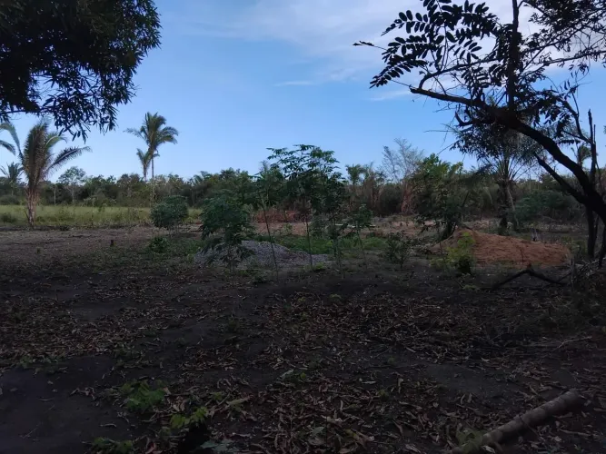 Terreno gigantesco 