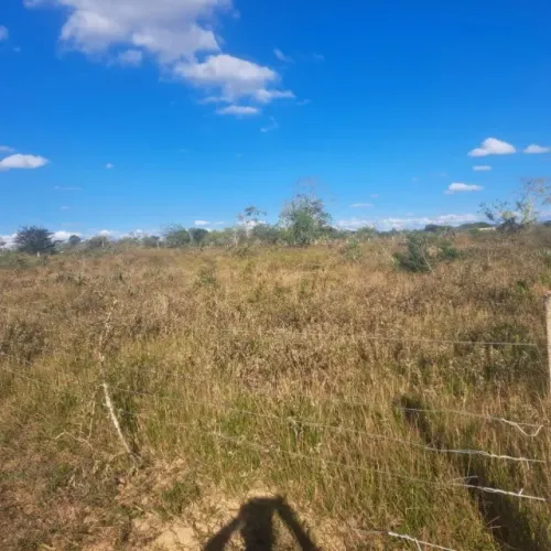 TERRENO 6.600 M² - 88x75 - CERCADO - ÓTIMA OPORTUNIDADE!