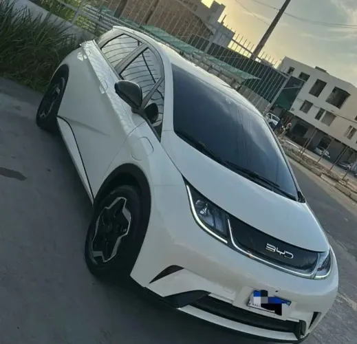BYD Dolphin Mini (Elétrico) 2024