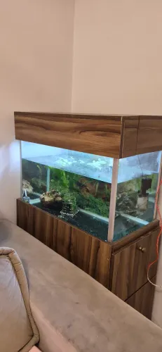 Aquario de 100l completo