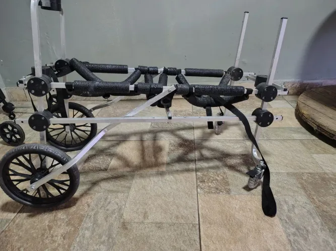 Cadeira de rodas para cachorro