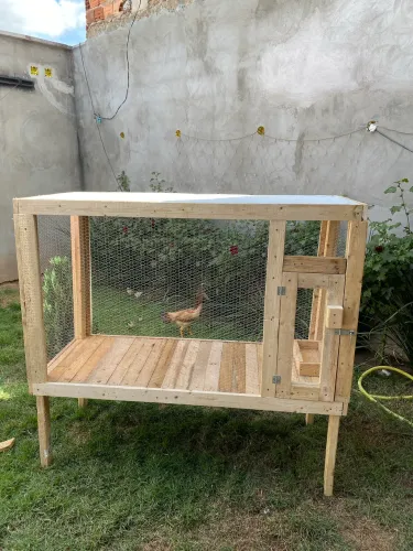 Viveiro de Madeira Artesanal para Aves e Pequenos Animais