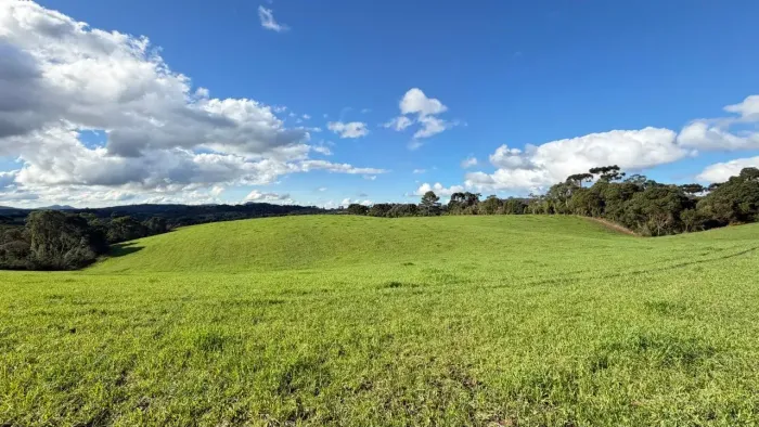Propriedade Rural 44,3 Hectares | Bom Retiro/SC