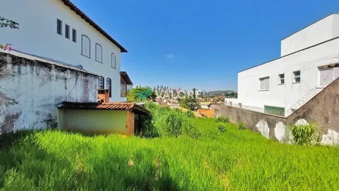 Lote Belvedere