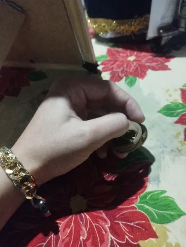 Vendo rabicó bege