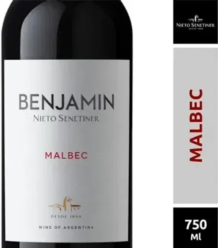 Vinho Benjamin Nieto Malbec Safra 2019