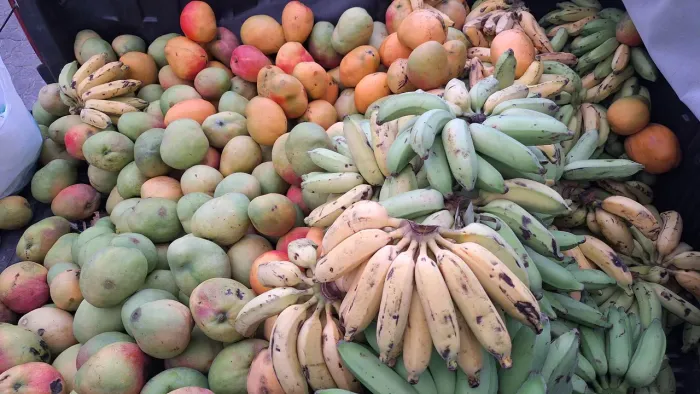 Frutas direto da Serra De Araújo.