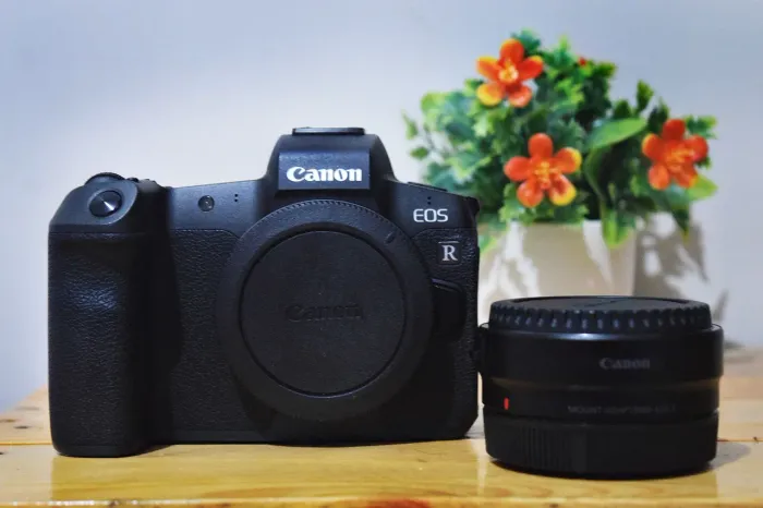 Canon EOS R 