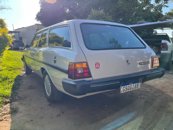 Chevrolet Caravan L/sl/s/ss 2.5/4.1/4.2 1980