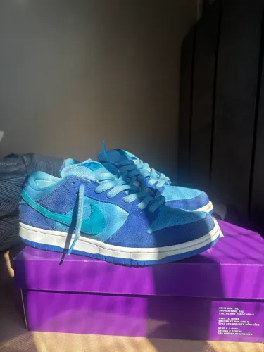 Tenis Nike Dunk Low Sb 41