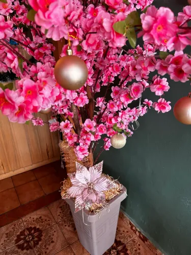 Planta cerejeira