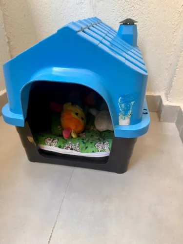 Casa de cachorro