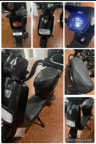Autrotopelido