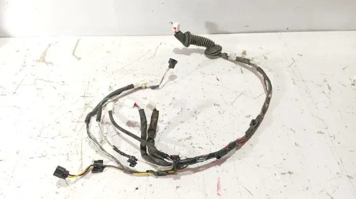 Chicote Porta Dianteira Esquerda Toyota Etios Xls 2018